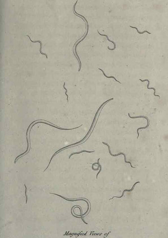 Reproducción/Reproduction 7344951518: Zoological lectures delivered at the Royal Institution. London,Kearsley,1809.