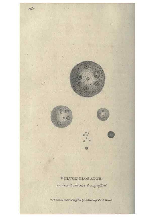 Reproducción/Reproduction 7344950920: Zoological lectures delivered at the Royal Institution. London,Kearsley,1809.