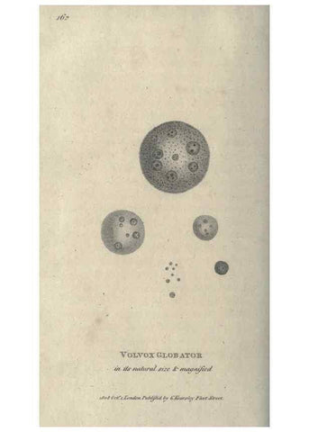 Reproducción/Reproduction 7344950920: Zoological lectures delivered at the Royal Institution. London,Kearsley,1809.