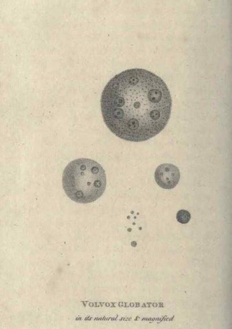 Reproducción/Reproduction 7344950920: Zoological lectures delivered at the Royal Institution. London,Kearsley,1809.