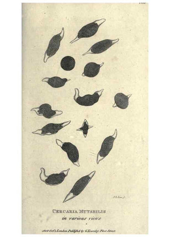 Reproducción/Reproduction 7159742365: Zoological lectures delivered at the Royal Institution. London,Kearsley,1809.