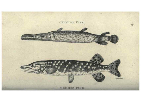 Reproducción/Reproduction 7344897454: Zoological lectures delivered at the Royal Institution. London,Kearsley,1809.