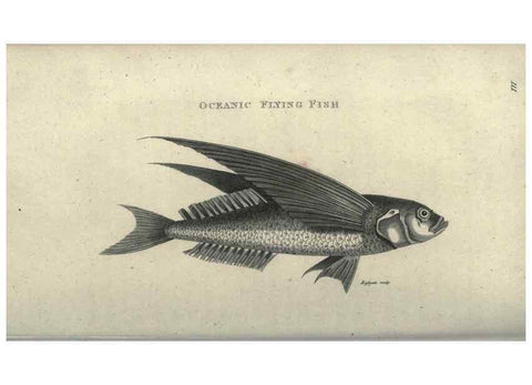 Reproducción/Reproduction 7344899414: Zoological lectures delivered at the Royal Institution. London,Kearsley,1809.
