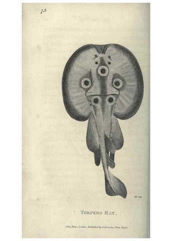 Reproducción/Reproduction 7344900340: Zoological lectures delivered at the Royal Institution. London,Kearsley,1809.