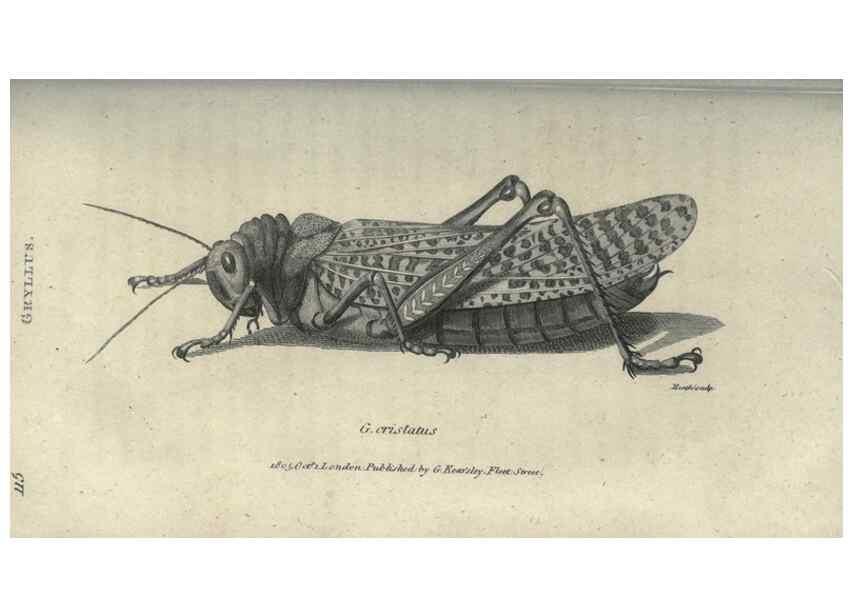 Reproducción/Reproduction 7159695903: Zoological lectures delivered at the Royal Institution. London,Kearsley,1809.
