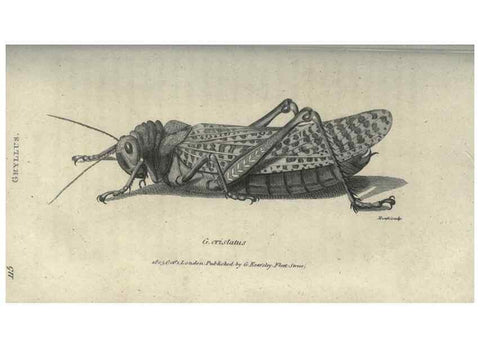 Reproducción/Reproduction 7159695903: Zoological lectures delivered at the Royal Institution. London,Kearsley,1809.