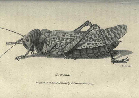 Reproducción/Reproduction 7159695903: Zoological lectures delivered at the Royal Institution. London,Kearsley,1809.