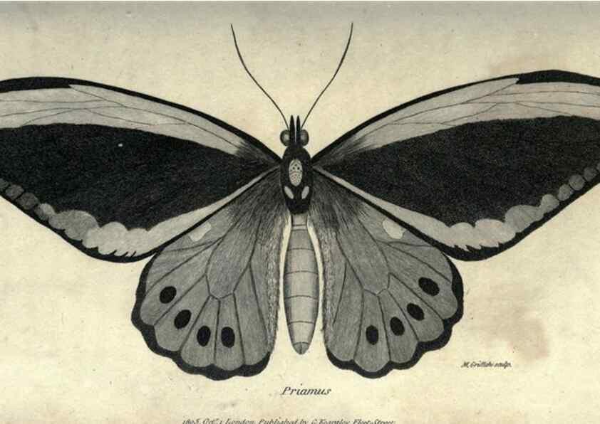 Reproducción/Reproduction 7344904574: Zoological lectures delivered at the Royal Institution. London,Kearsley,1809.
