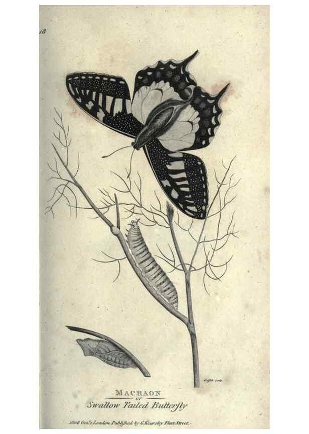 Reproducción/Reproduction 7344905758: Zoological lectures delivered at the Royal Institution. London,Kearsley,1809.