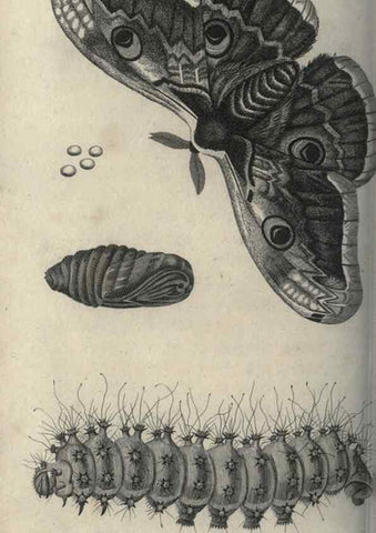 Reproducción/Reproduction 7344908888: Zoological lectures delivered at the Royal Institution. London,Kearsley,1809.