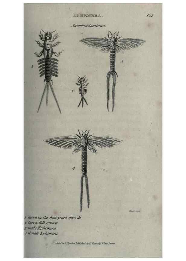 Reproducción/Reproduction 7159702909: Zoological lectures delivered at the Royal Institution. London,Kearsley,1809.