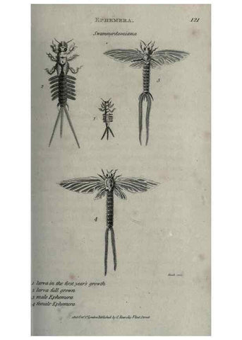 Reproducción/Reproduction 7159702909: Zoological lectures delivered at the Royal Institution. London,Kearsley,1809.
