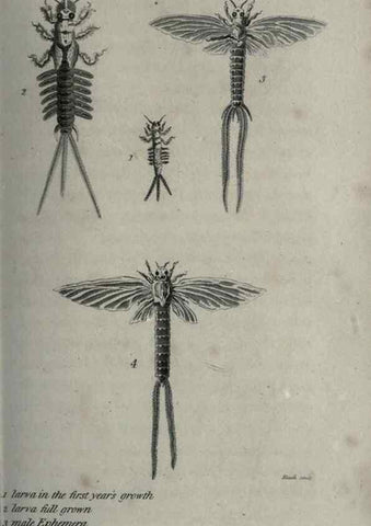 Reproducción/Reproduction 7159702909: Zoological lectures delivered at the Royal Institution. London,Kearsley,1809.