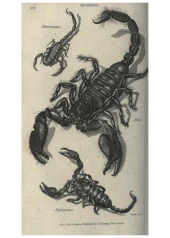 Reproducción/Reproduction 7159703717: Zoological lectures delivered at the Royal Institution. London,Kearsley,1809.
