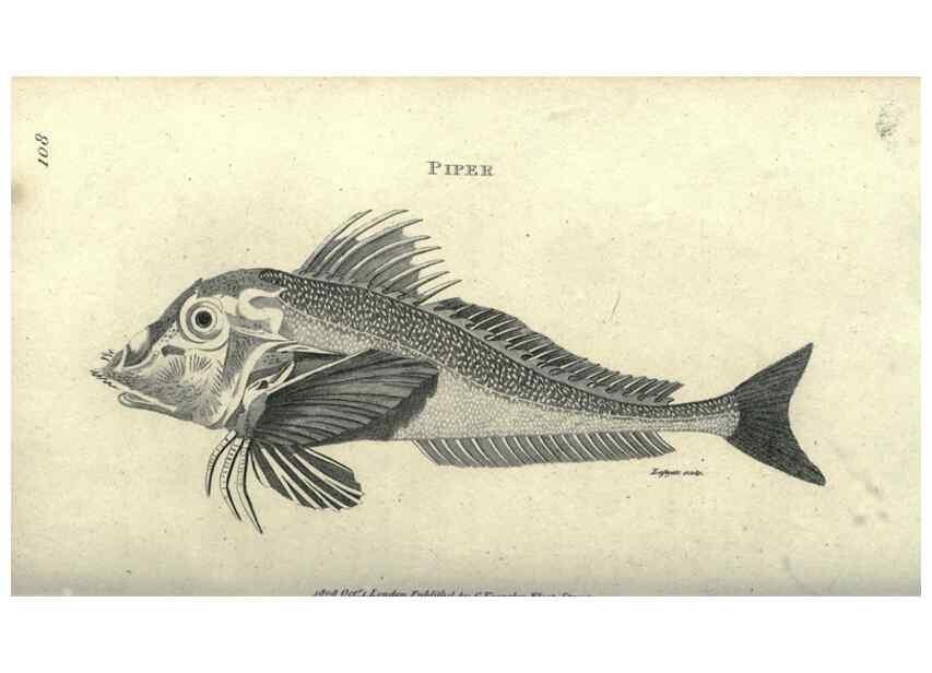 Reproducción/Reproduction 7344896572: Zoological lectures delivered at the Royal Institution. London,Kearsley,1809.