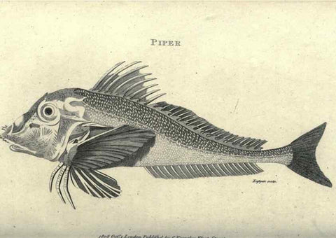 Reproducción/Reproduction 7344896572: Zoological lectures delivered at the Royal Institution. London,Kearsley,1809.