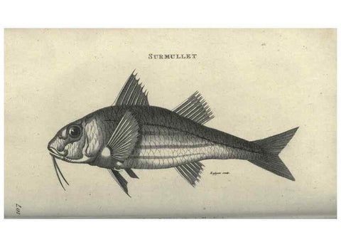 Reproducción/Reproduction 7344895740: Zoological lectures delivered at the Royal Institution. London,Kearsley,1809.