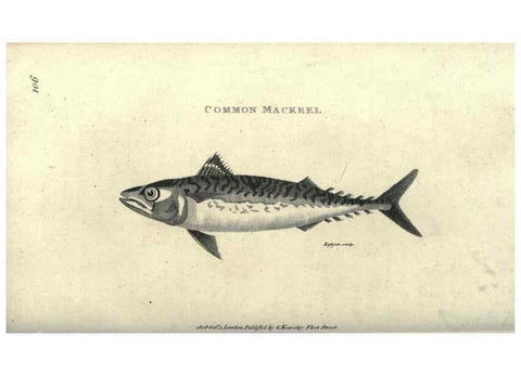 Reproducción/Reproduction 7344894744: Zoological lectures delivered at the Royal Institution. London,Kearsley,1809.