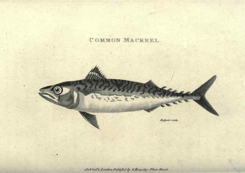 Reproducción/Reproduction 7344894744: Zoological lectures delivered at the Royal Institution. London,Kearsley,1809.