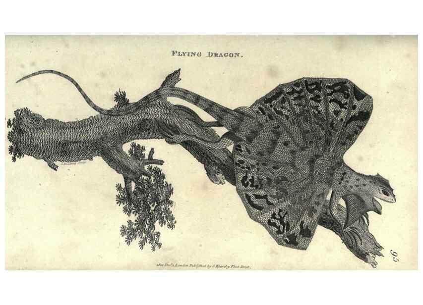 Reproducción/Reproduction 7344881992: Zoological lectures delivered at the Royal Institution. London,Kearsley,1809.