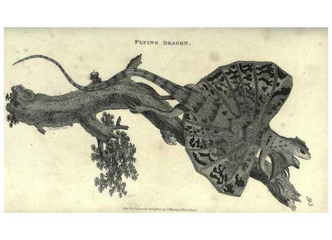 Reproducción/Reproduction 7344881992: Zoological lectures delivered at the Royal Institution. London,Kearsley,1809.