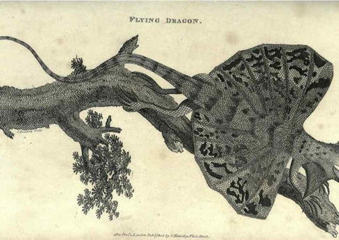 Reproducción/Reproduction 7344881992: Zoological lectures delivered at the Royal Institution. London,Kearsley,1809.