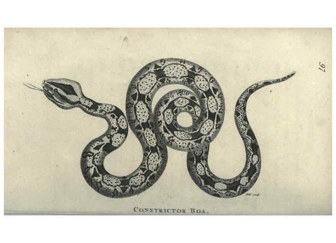 Reproducción/Reproduction 7159676529: Zoological lectures delivered at the Royal Institution. London,Kearsley,1809.