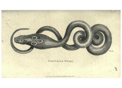 Reproducción/Reproduction 7159677457: Zoological lectures delivered at the Royal Institution. London,Kearsley,1809.