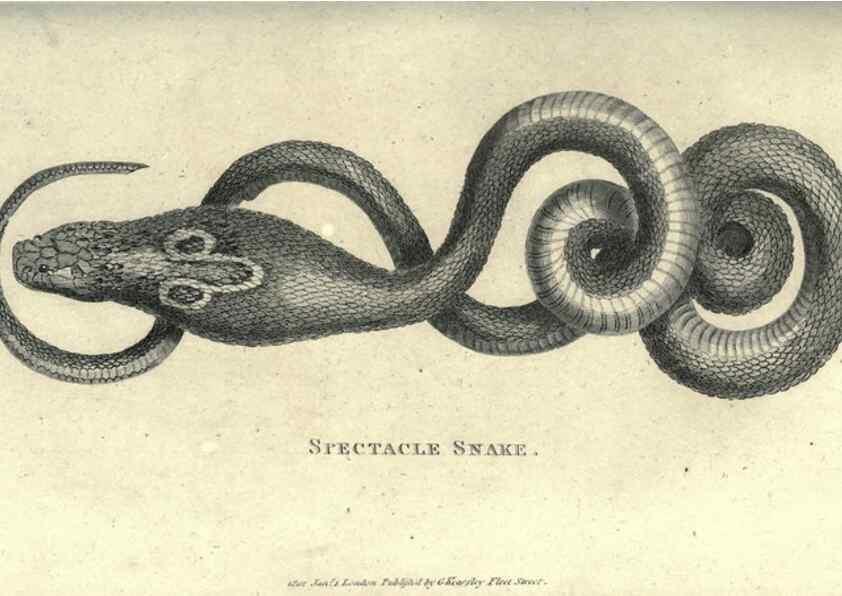 Reproducción/Reproduction 7159677457: Zoological lectures delivered at the Royal Institution. London,Kearsley,1809.