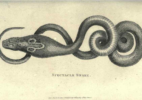 Reproducción/Reproduction 7159677457: Zoological lectures delivered at the Royal Institution. London,Kearsley,1809.
