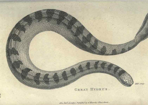 Reproducción/Reproduction 7344885286: Zoological lectures delivered at the Royal Institution. London,Kearsley,1809.