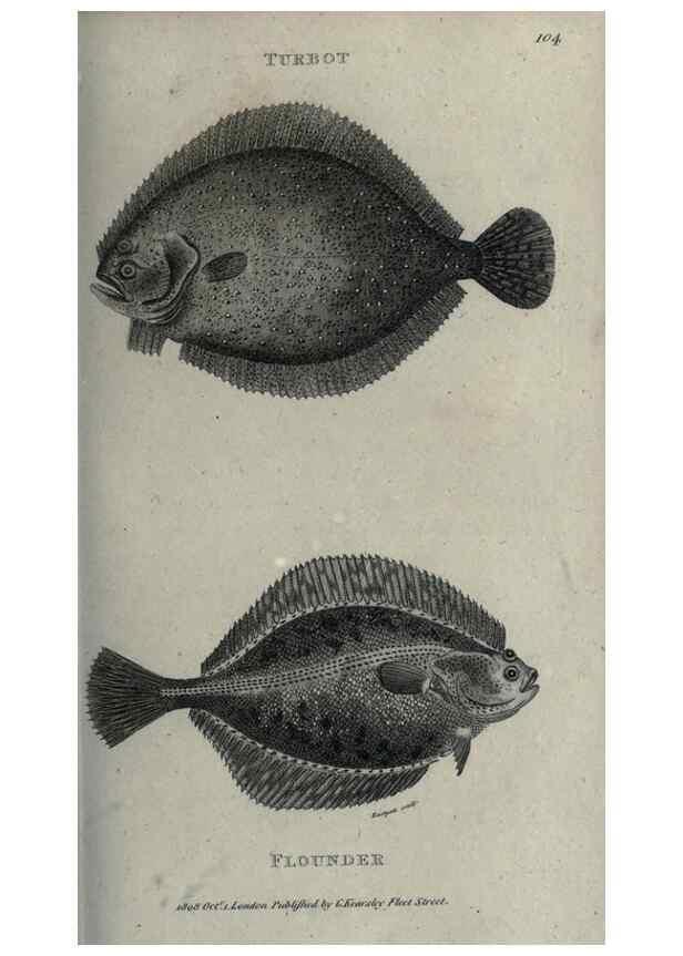 Reproducción/Reproduction 7159685987: Zoological lectures delivered at the Royal Institution. London,Kearsley,1809.