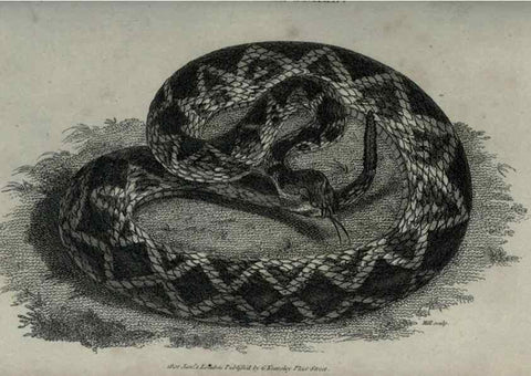 Reproducción/Reproduction 7159675711: Zoological lectures delivered at the Royal Institution. London,Kearsley,1809.