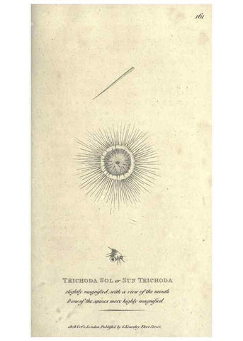 Reproducción/Reproduction 7344949976: Zoological lectures delivered at the Royal Institution. London,Kearsley,1809.