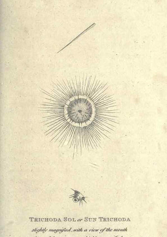 Reproducción/Reproduction 7344949976: Zoological lectures delivered at the Royal Institution. London,Kearsley,1809.