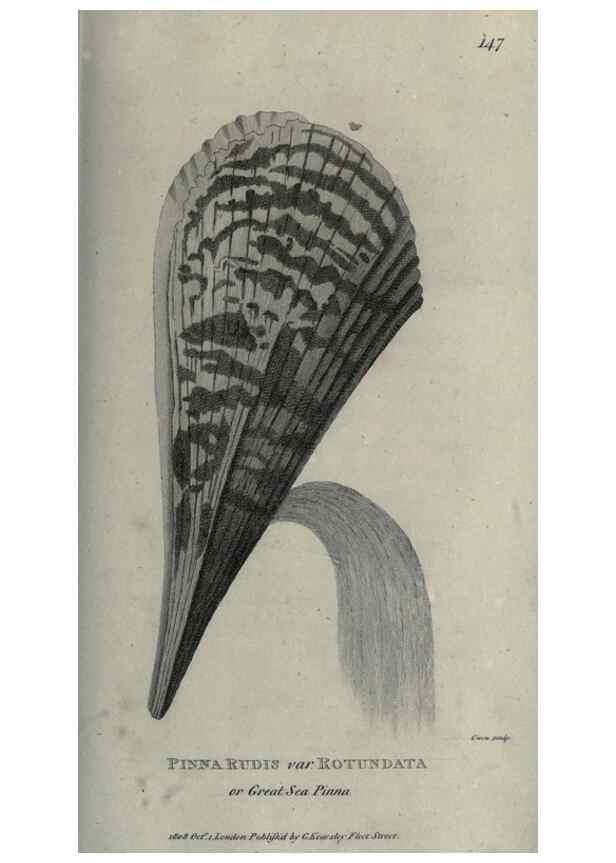 Reproducción/Reproduction 7159727967: Zoological lectures delivered at the Royal Institution. London,Kearsley,1809.