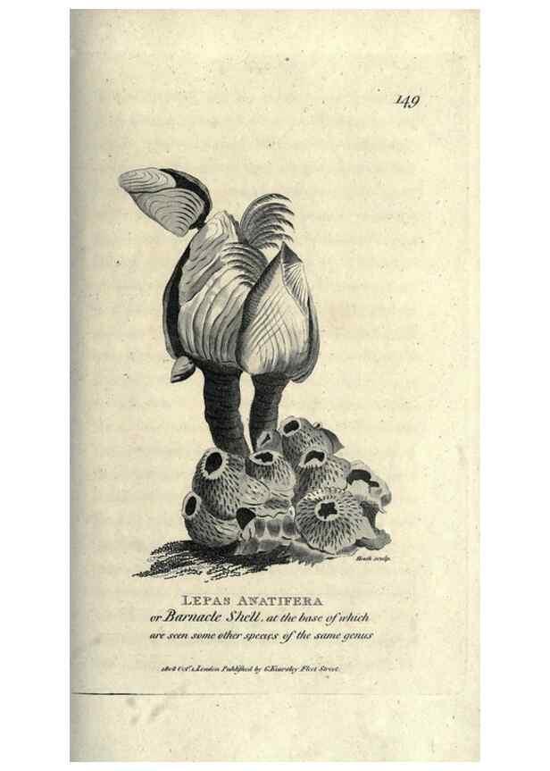 Reproducción/Reproduction 7159729699: Zoological lectures delivered at the Royal Institution. London,Kearsley,1809.
