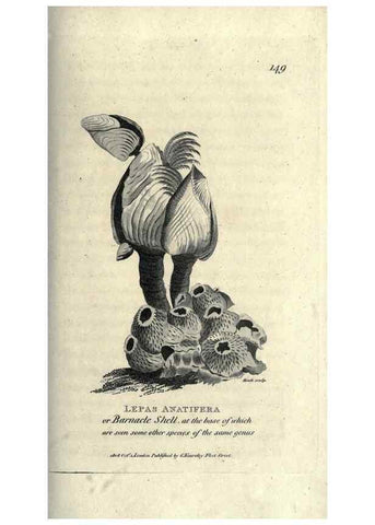Reproducción/Reproduction 7159729699: Zoological lectures delivered at the Royal Institution. London,Kearsley,1809.