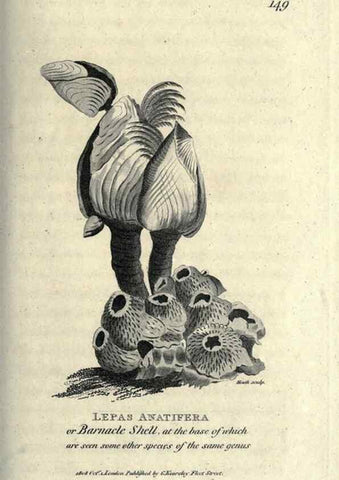 Reproducción/Reproduction 7159729699: Zoological lectures delivered at the Royal Institution. London,Kearsley,1809.