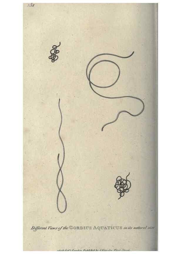 Reproducción/Reproduction 7159731247: Zoological lectures delivered at the Royal Institution. London,Kearsley,1809.