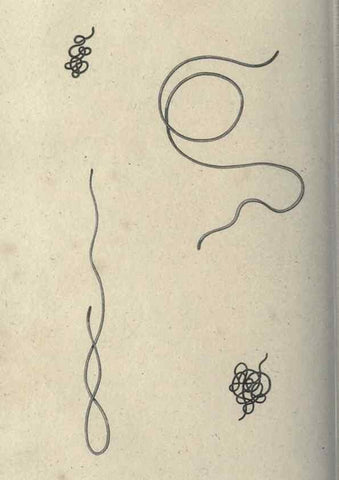Reproducción/Reproduction 7159731247: Zoological lectures delivered at the Royal Institution. London,Kearsley,1809.