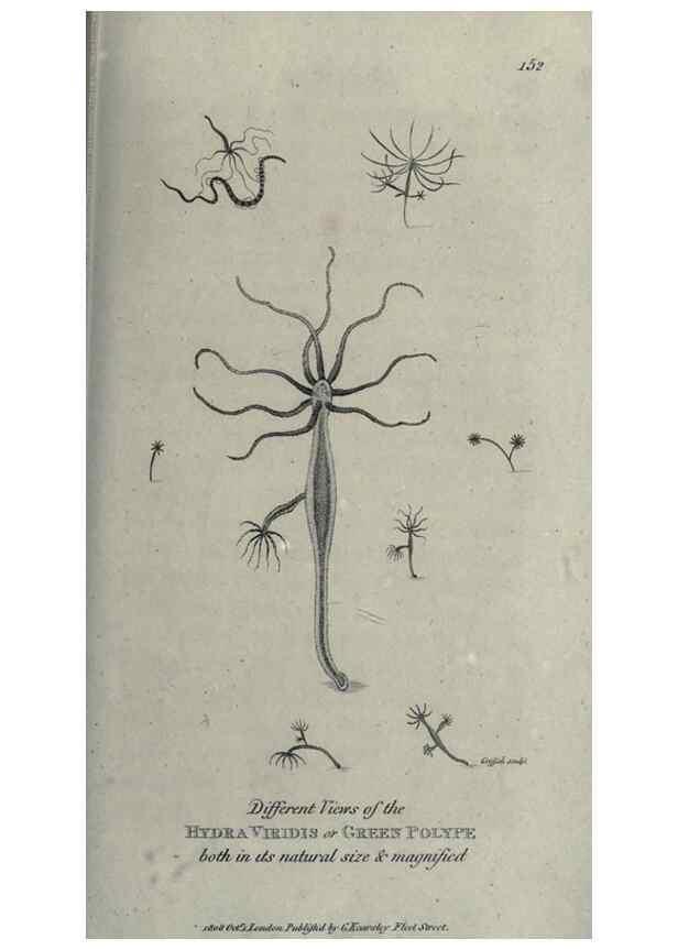 Reproducción/Reproduction 7159732383: Zoological lectures delivered at the Royal Institution. London,Kearsley,1809.