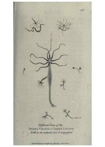 Reproducción/Reproduction 7159732383: Zoological lectures delivered at the Royal Institution. London,Kearsley,1809.