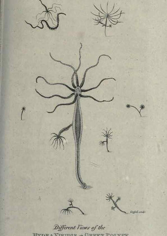 Reproducción/Reproduction 7159732383: Zoological lectures delivered at the Royal Institution. London,Kearsley,1809.
