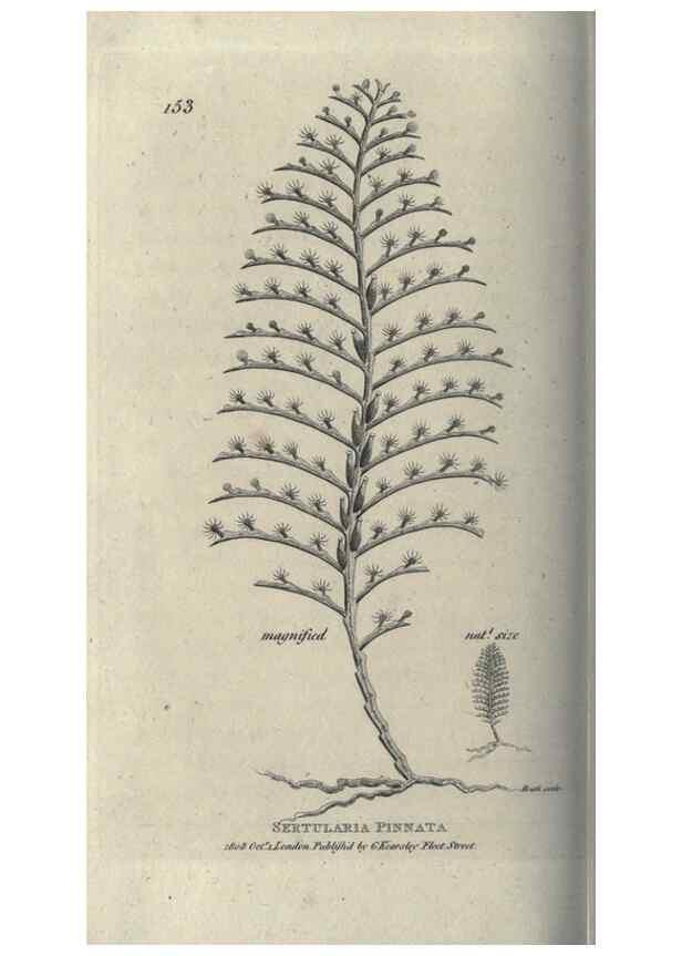 Reproducción/Reproduction 7159733745: Zoological lectures delivered at the Royal Institution. London,Kearsley,1809.