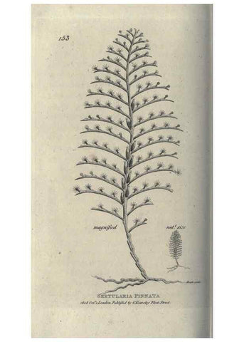 Reproducción/Reproduction 7159733745: Zoological lectures delivered at the Royal Institution. London,Kearsley,1809.