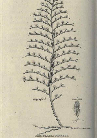 Reproducción/Reproduction 7159733745: Zoological lectures delivered at the Royal Institution. London,Kearsley,1809.