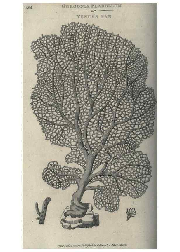 Reproducción/Reproduction 7344942824: Zoological lectures delivered at the Royal Institution. London,Kearsley,1809.