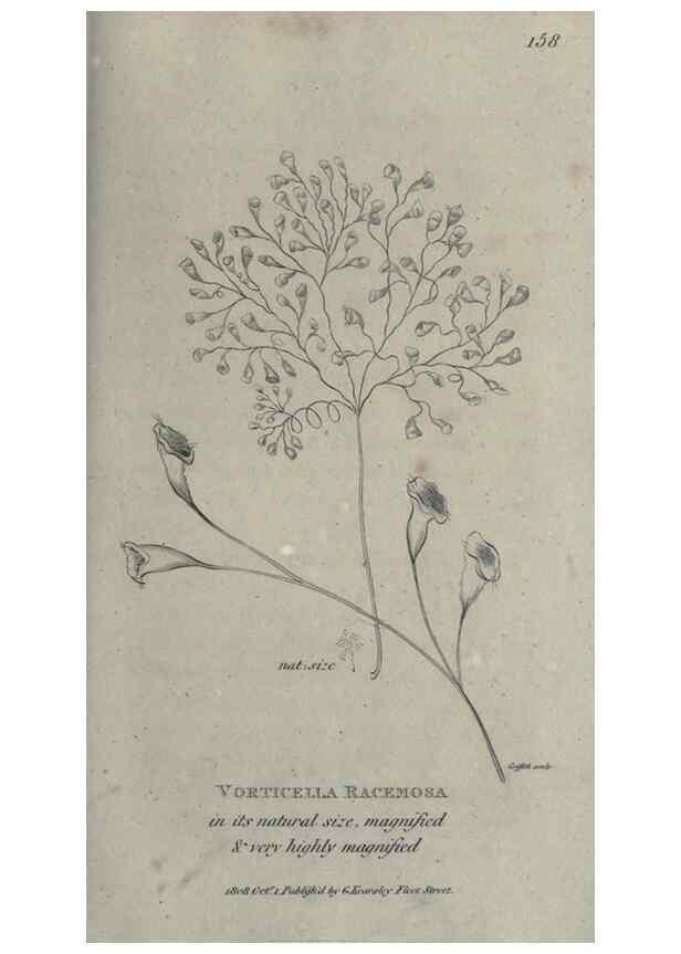 Reproducción/Reproduction 7344945696: Zoological lectures delivered at the Royal Institution. London,Kearsley,1809.