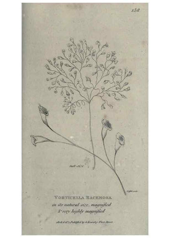 Reproducción/Reproduction 7344945696: Zoological lectures delivered at the Royal Institution. London,Kearsley,1809.
